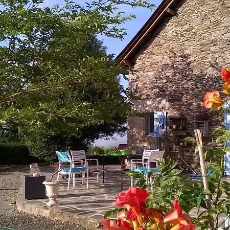 Mirandol-Bourgnounac Gite De La Maison Bleueヴィラ エクステリア 写真