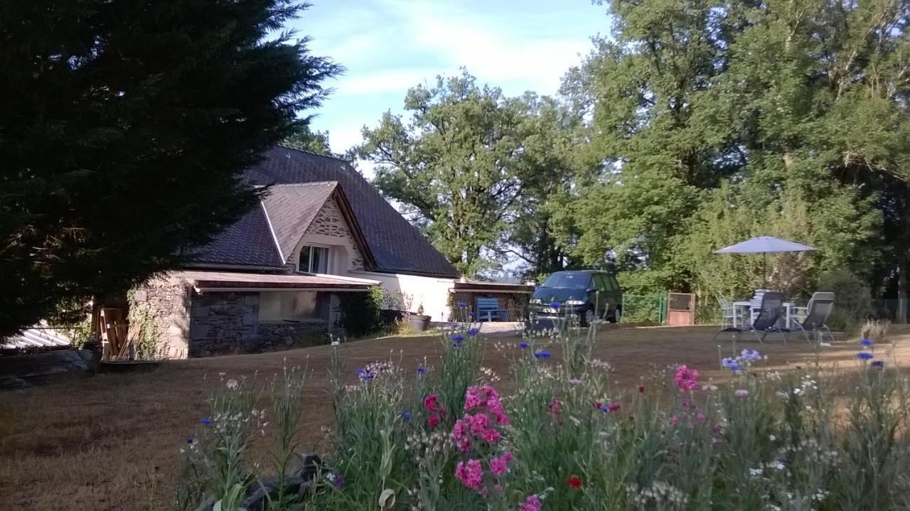 Mirandol-Bourgnounac Gite De La Maison Bleueヴィラ エクステリア 写真