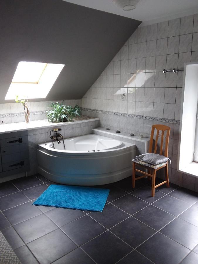 Mirandol-Bourgnounac Gite De La Maison Bleueヴィラ エクステリア 写真